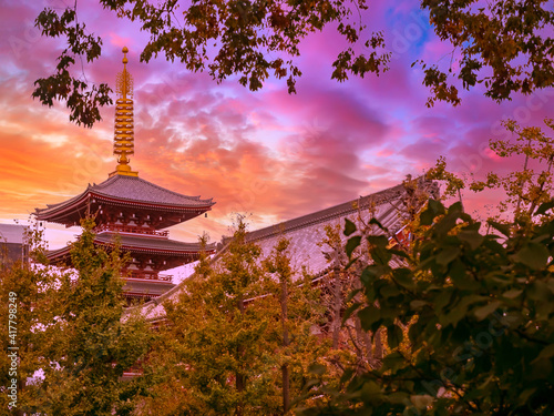 Tokyo Pagoda. Japan city la...