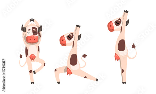 Funny Cow Doing Yoga Set, Cute Cheerful Farm Animal Character Practising Various Yoga Poses Cartoon Vector Illustration