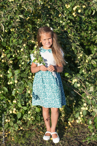 Beautiful young woman picking ripe organic apples in orchard.