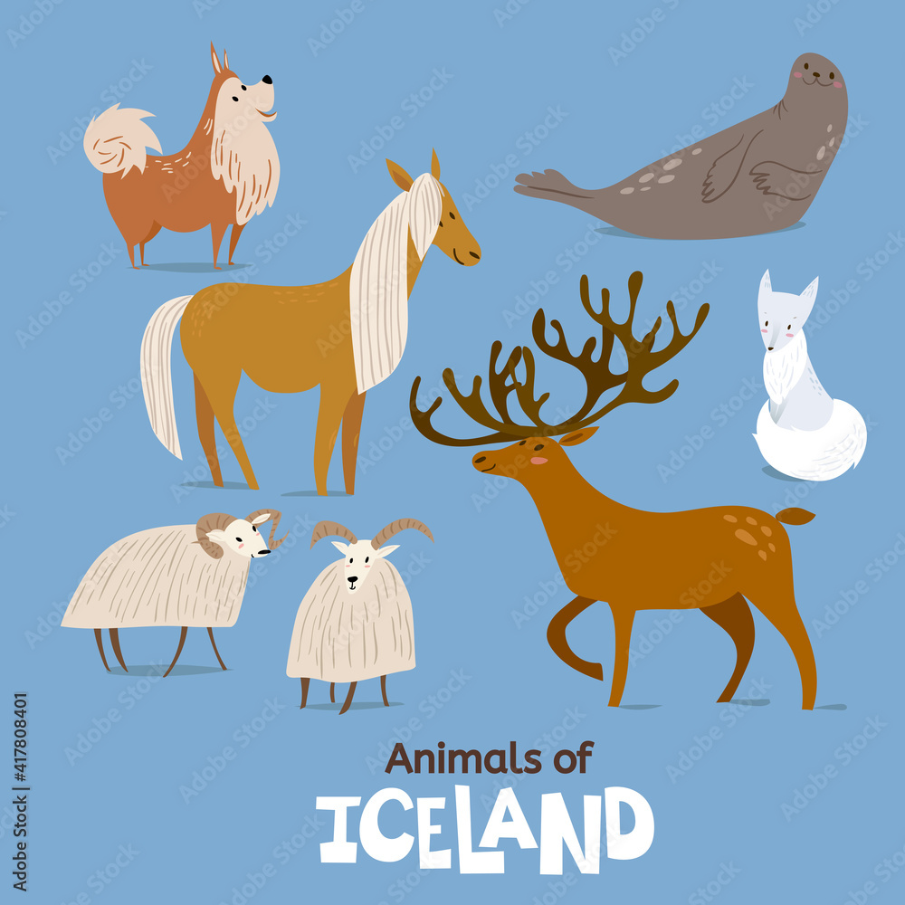 Obraz premium Animals of Iceland in flat modern style design.