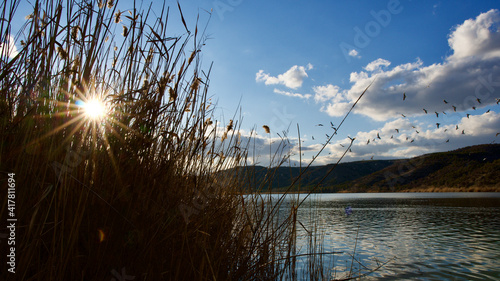 Ankara Eymir lake and its surroundings. Cormorants. Reeds. Reflections in the water.