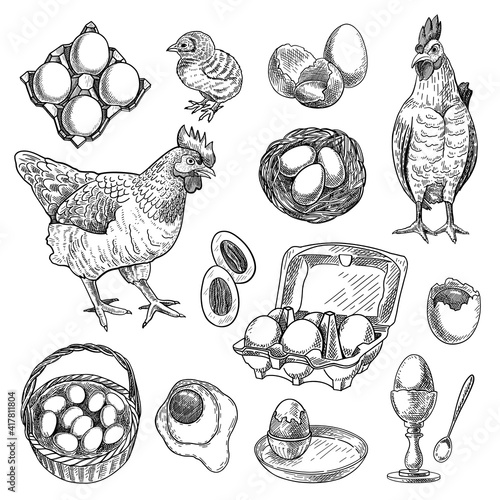 Chicken farm products sketches set. Hand drawn nest, hen, rooster, basket with eggs. Engraved vector illustration for poultry, meat, food production, Easter concept