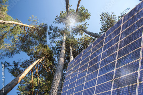 Pannello solare nel bosco