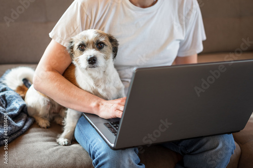 Kleiner Hund stizt mit einem Mann vor einem Laptop. Blick in die Kamera. Beige Couch, Home Office.