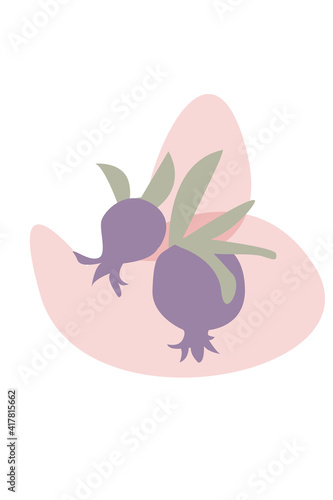 Colorful Foliage pomegranates. vector flat cartoon illustration