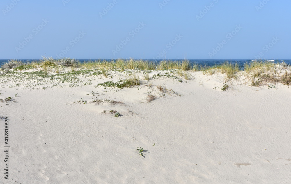 Sand dune with marram grass, blue sky and horizon over water. Rias Baixas, Galicia, Spain.