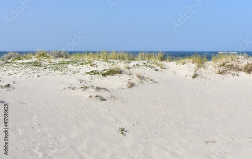 Obraz na płótnie Sand dune with marram grass, blue sky and horizon over water. Rias Baixas, Galicia, Spain.
w salonie