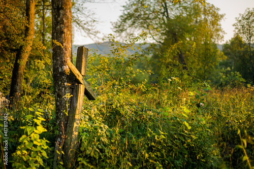 Fototapeta Naklejka Na Ścianę i Meble -  Old cemetery in Lupkow Poland