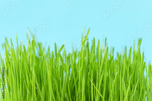 Natural background of green grass and blue sky 