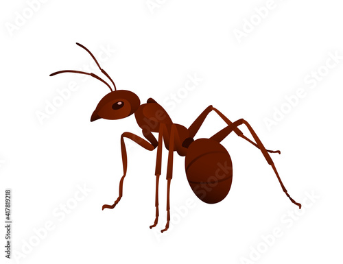 Cute brown ant looks around cartoon bug animal design vector illustration isolated on white background