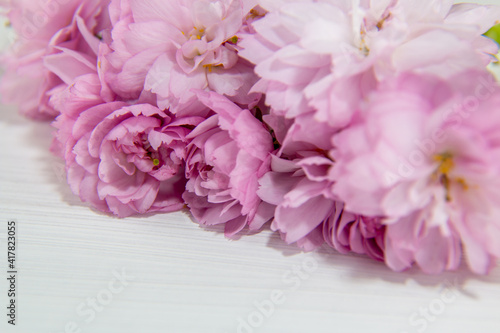 Fototapeta Naklejka Na Ścianę i Meble -  背景素材　庭に咲いた枝垂れ桜の花