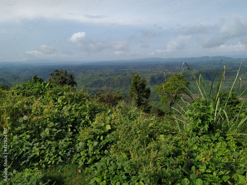 Obraz premium grass in the mountains