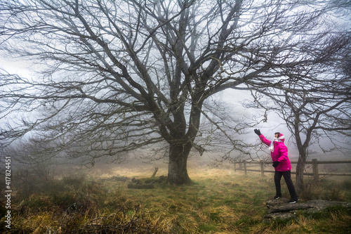 Woman in purple coat in misty landscape in autumn or winter season. Big tree with wide branches in the background. Mysterious atmosphere. 
