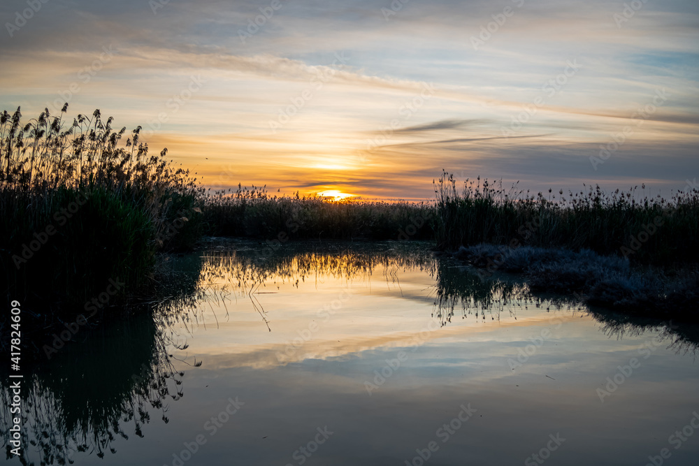 Obraz premium Spain. Sunrise in the El Hondo de Elche natural park. Alicante