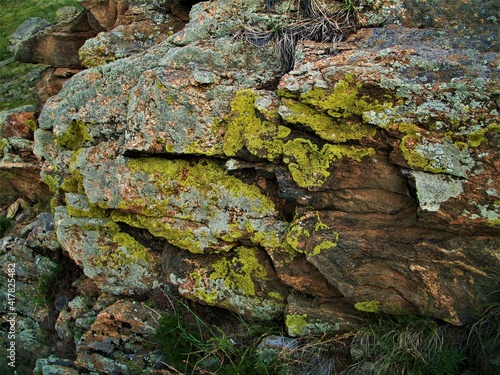 beautiful stone in green moss near the lake