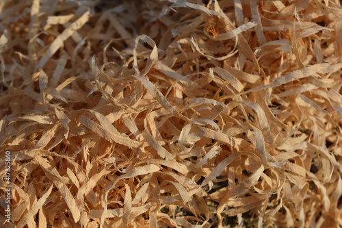Große Sägespäne als Biomasse, Heizmaterial aus Buchenholz für Pelletproduktion im Abendlicht als Hintergrund