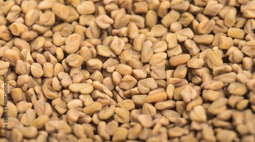 dpa-akm / Fenugreek ( Methi seeds) recipes is one of the main indian spice in mumbai india dpa-akm / Fenugreek ( Methi seeds) recipes is one of the main indian spice in mumbai india