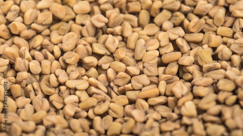 dpa-akm /  Fenugreek ( Methi seeds) recipes is one of the main indian spice  in mumbai   india