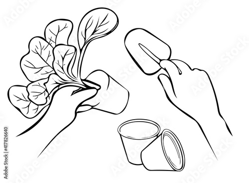 Spring seedlings. Hand plants a sprout from the top. Vector line art illustration. Domestic garden or farming concept.