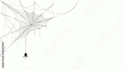 animated spider web sways in the wind. The spider descends and climbs up and down on the cobweb. Emptiness and despondency. Looped video