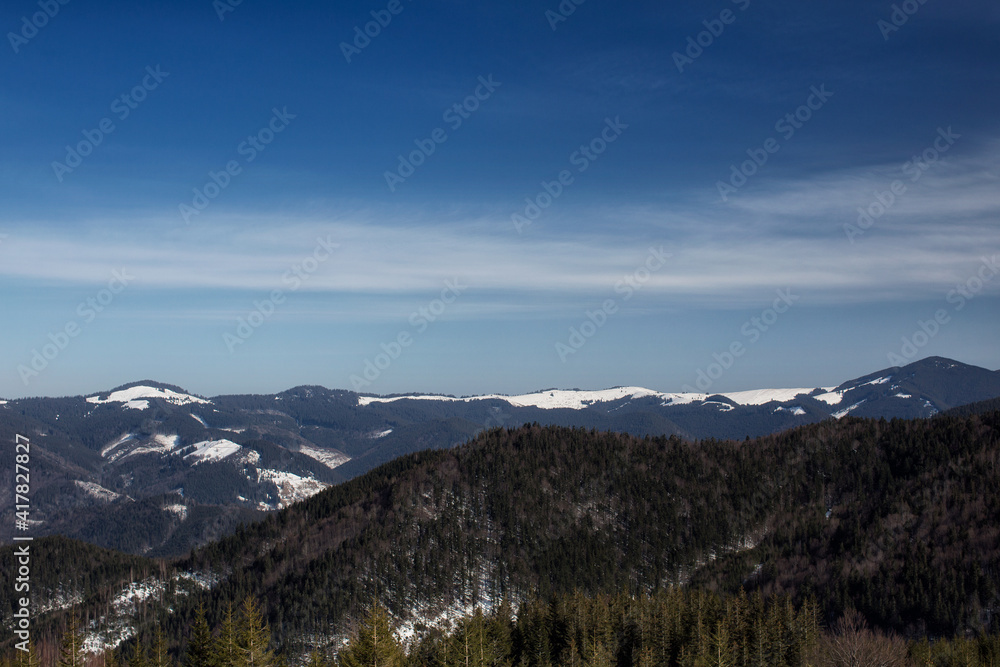Fototapeta premium landscape with snow
