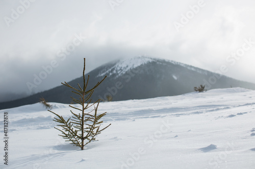 winter mountain landscape