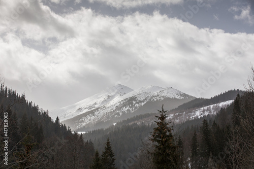 snow covered mountains