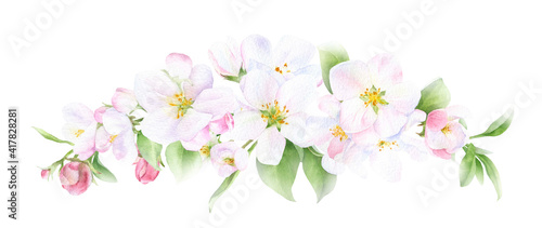 Apple blossom arrangement with flowers, buds and leaves hand drawn in watercolor isolated on a white background. Watercolor illustration. Apple blossom. Floral garland.