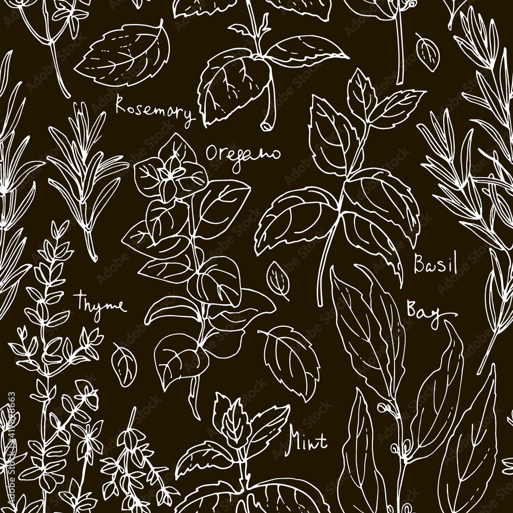 Pattern herbs. Spices. Italian herb drawn black lines on a white background. Vector illustration. Basil, Parsley, Rosemary, Sage, Bay, Thyme, Oregano, Mint Pattern herbs. Spices. Italian herb drawn black lines on a white background. Vector illustration. Basil, Parsley, Rosemary, Sage, Bay, Thyme, Oregano, Mint