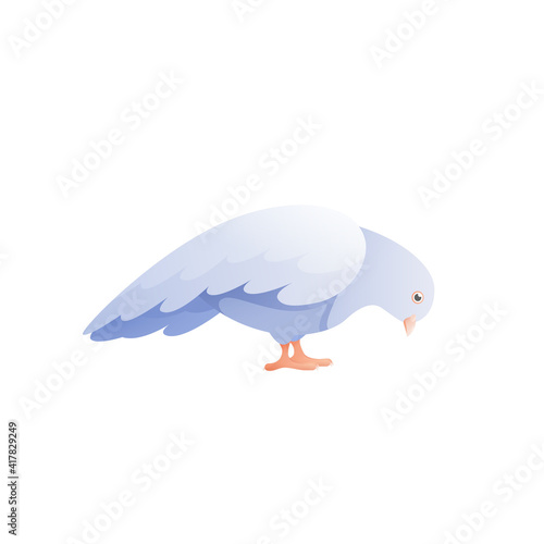 Twiddling Pigeon Flat Composition
