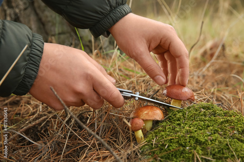 Man cutting boletus mushroom with knife in forest, closeup