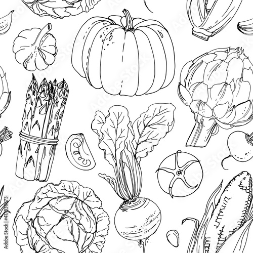 The pattern of painted colored vegetables line drawn on a white background. Skertch autumn harvest. Fresh food.