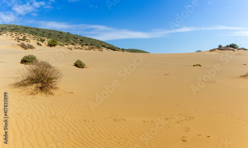 At Ammothines ("sand dunes"), also known as "Pachies Amdes". Oddly enough, these sand dunes are not by the sea, but quite far from the shore! Lemnos ("Limnos") island, North Aegean, Greece. 