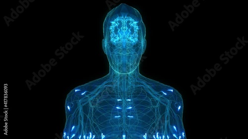 Human Brain and Nervous system