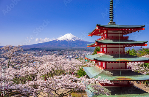 Chureito red pagoda with sakura in foreground and mount Fuji in background  Fujiyoshida  Japan