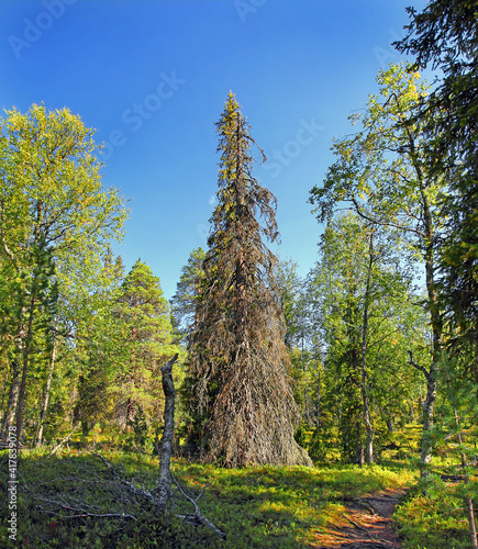 Urho Kekkonen National Park is a national park in Lapland, Finland.  photo