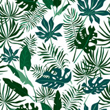Tropic leaves on white seamless vector pattern