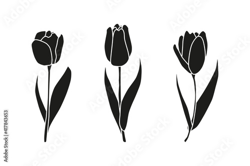 Beautiful hand drawn spring tulip flowers isolated on white background. Seasonal floral illustration. Black monochrome silhouettes.