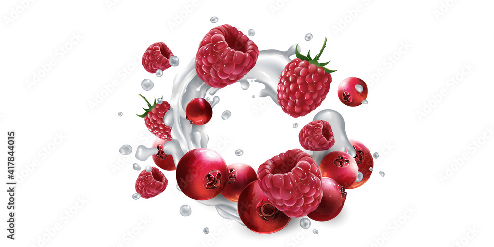 Cranberries and raspberries in splashes of yogurt or milk. Cranberries and raspberries in splashes of yogurt or milk.