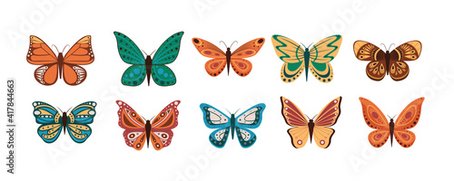 Vector illustration of cartoon butterflies isolated on white background. Abstract butterflies, colorful flying insect.