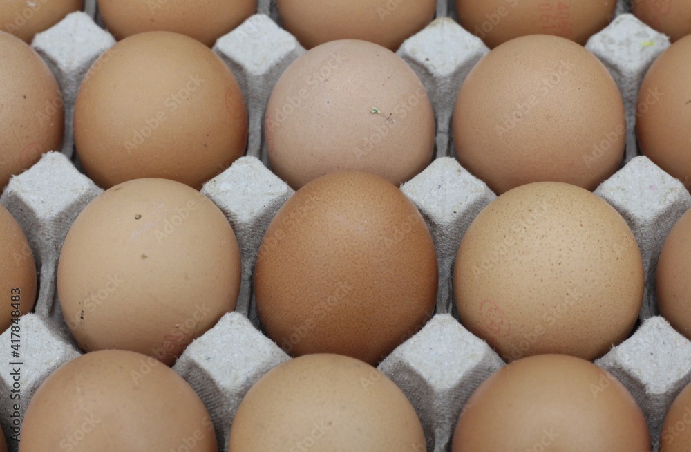 eggs in egg tray eggs in egg tray