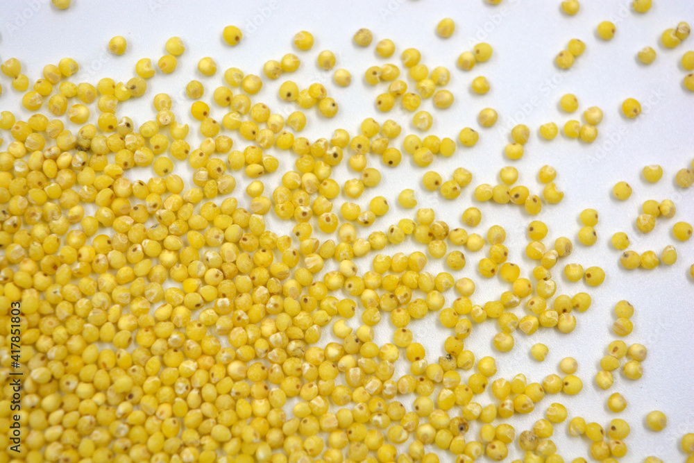 Useful to human health cereals, yellow millet scattered on a white background. 