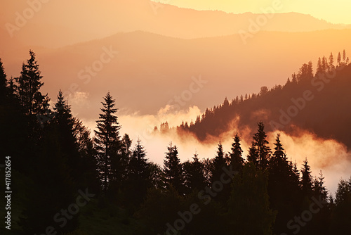 Silhouette of fir trees and mountains in the fog at dawn. Vintage hipster background. Natural mountain forest background.