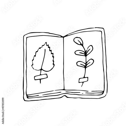 Herbarium. Dried leaves in a book. Vector hand drawn doodle illustration. Black and white outline. Coloring. Silhouette.