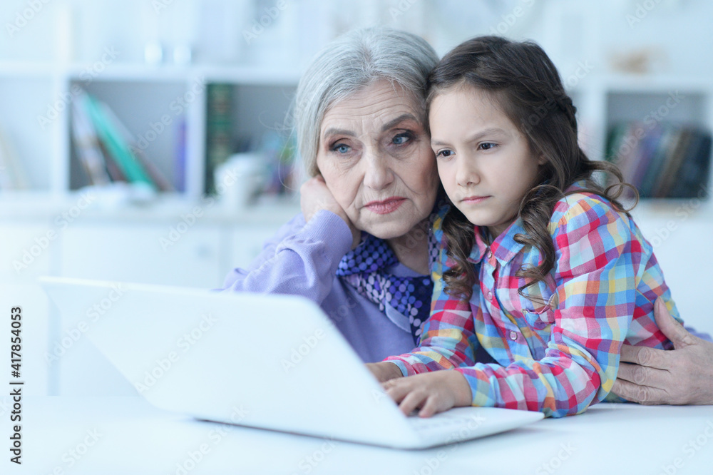 portrait of happy grandmother and daughter using laptop portrait of happy grandmother and daughter using laptop