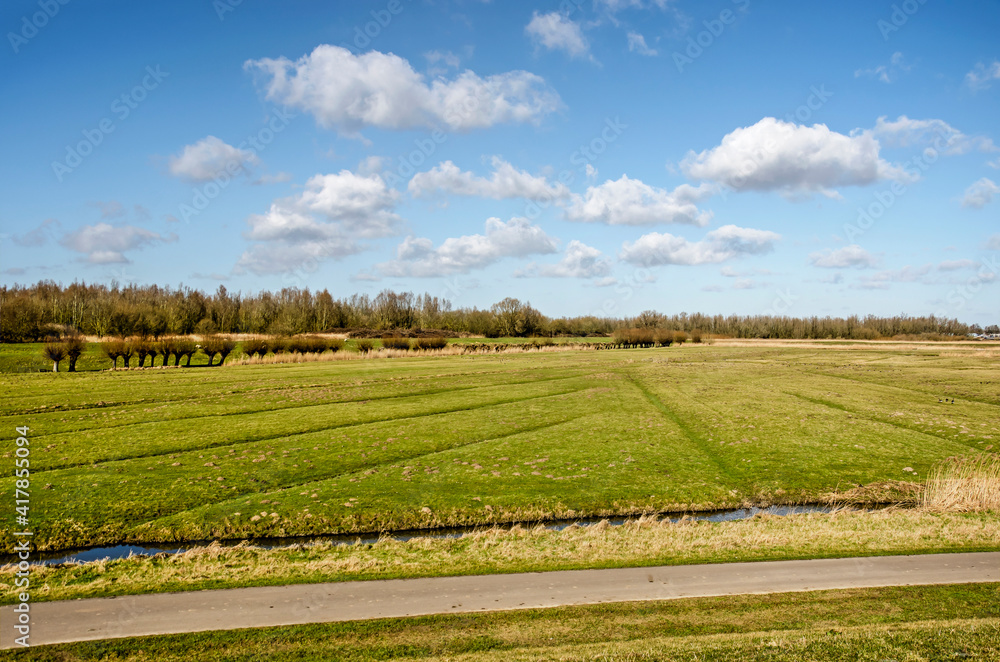 Dutch polder landscape near Puttershoek, Hoeksche Waard, The Netherlands, with a country road, meadows and ditches and a blue sky with fluffy clouds