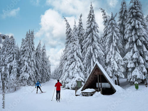 Bild auf Leinwand Skifahrer am Rennsteig / Thüringer Wald