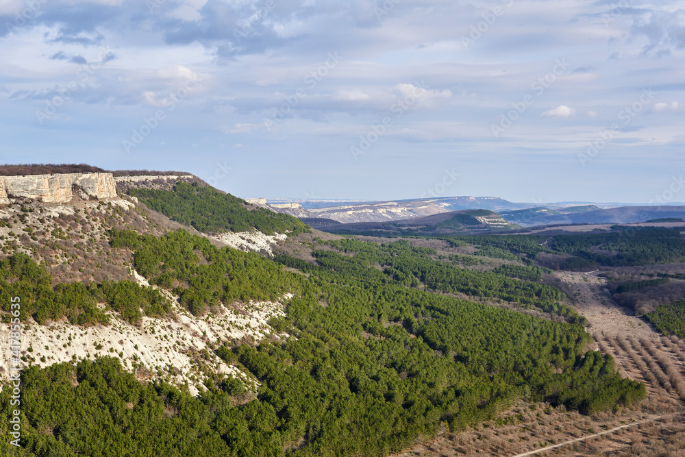scarpland with cuestas and forest plantations in Central Crimea