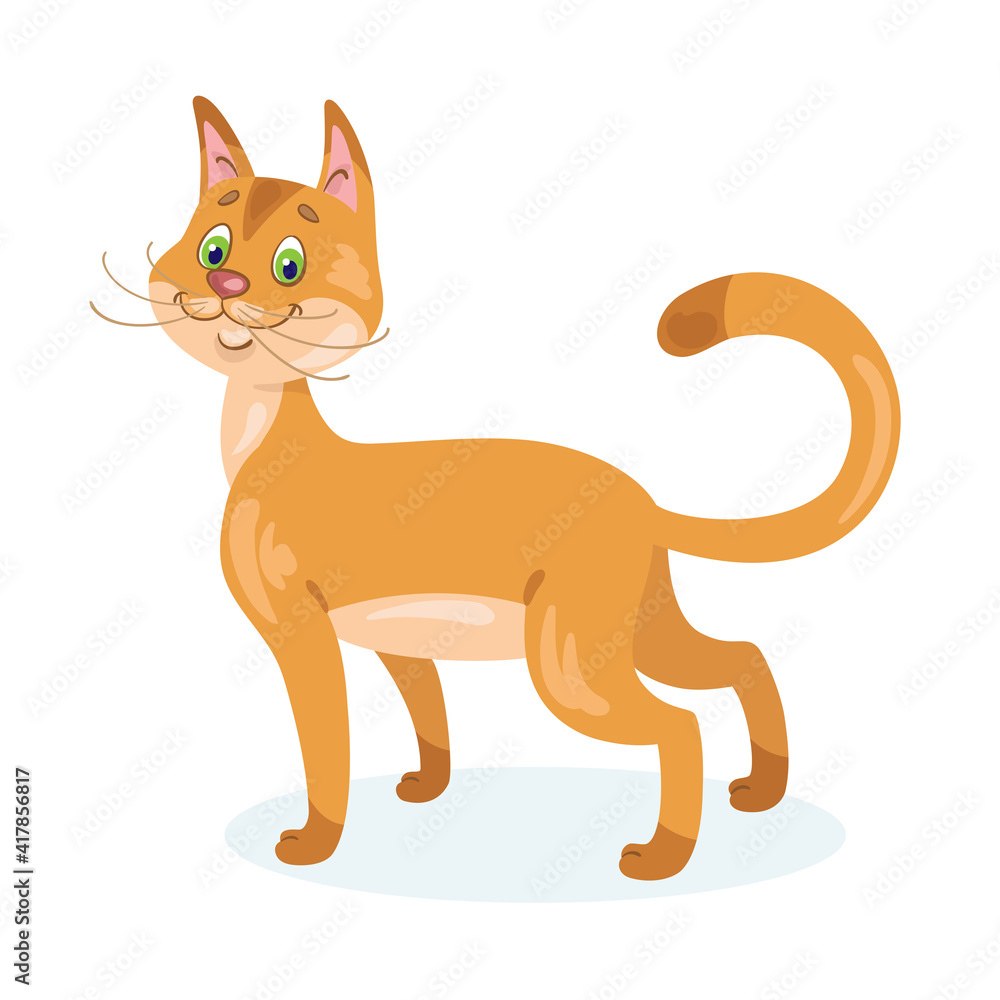 Cute funny kitten turns around. In cartoon style. Isolated on white background. Vector flat illustration. Cute funny kitten turns around. In cartoon style. Isolated on white background. Vector flat illustration.