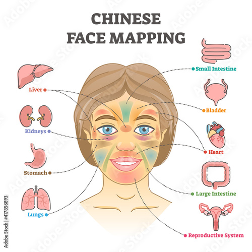 Chinese face mapping as alternative medicine health diagnosis outline diagram